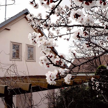 Ubytovani U Krizu Bulhary Exterior foto