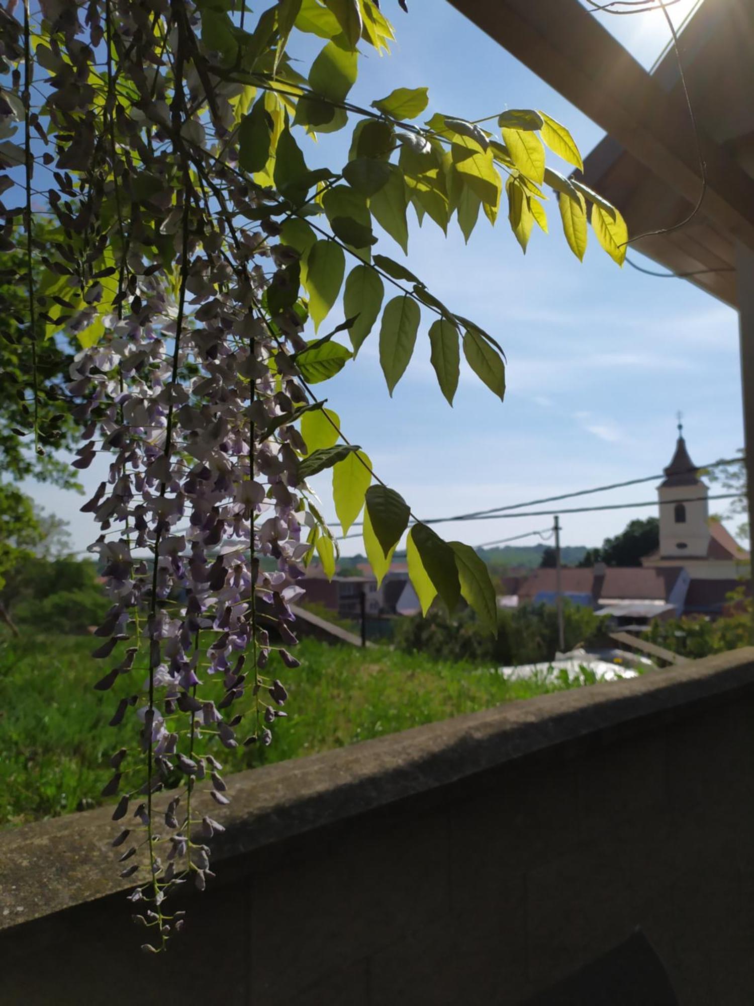 Ubytovani U Krizu Bulhary Exterior foto