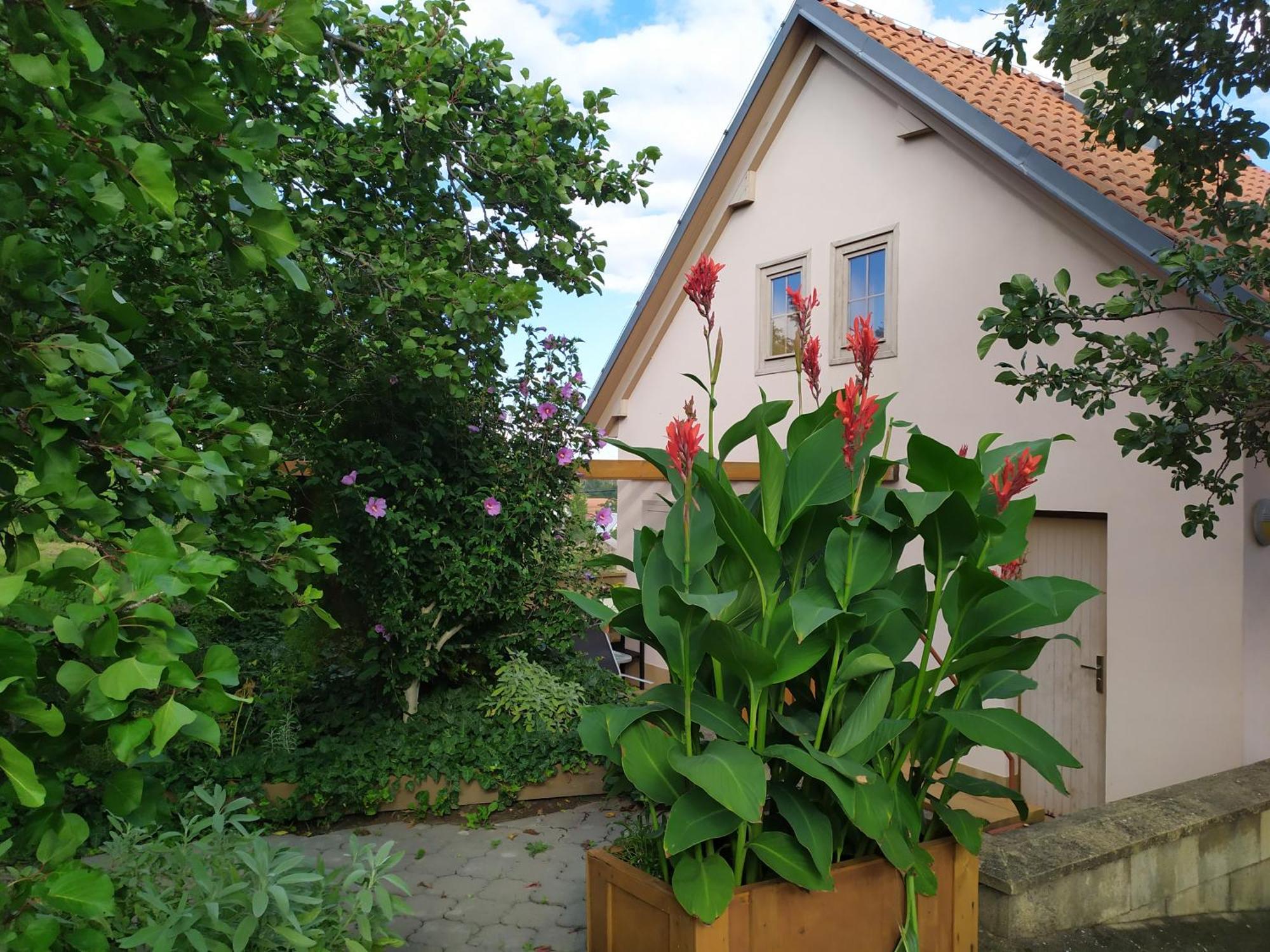Ubytovani U Krizu Bulhary Exterior foto