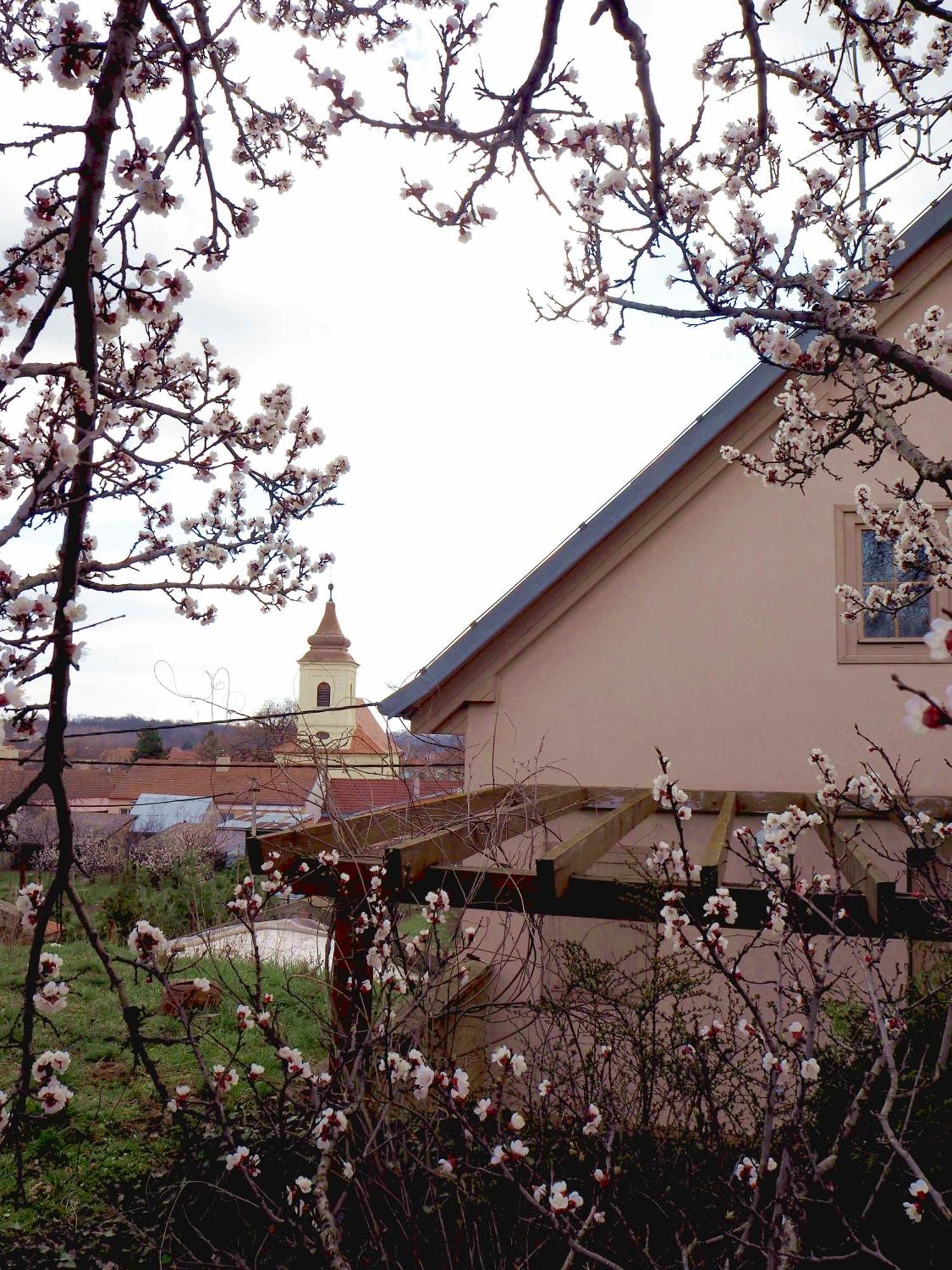 Ubytovani U Krizu Bulhary Exterior foto