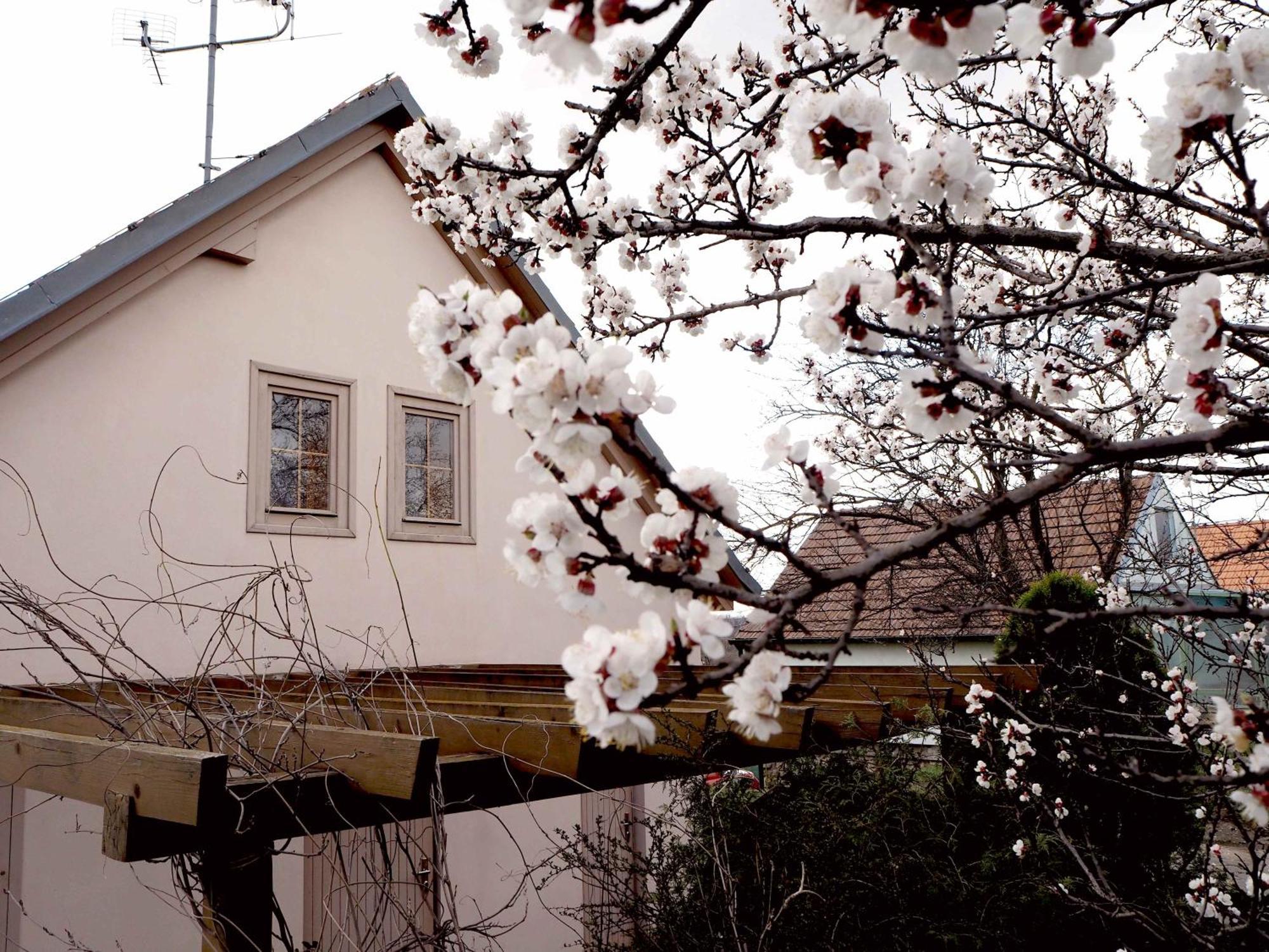 Ubytovani U Krizu Bulhary Exterior foto